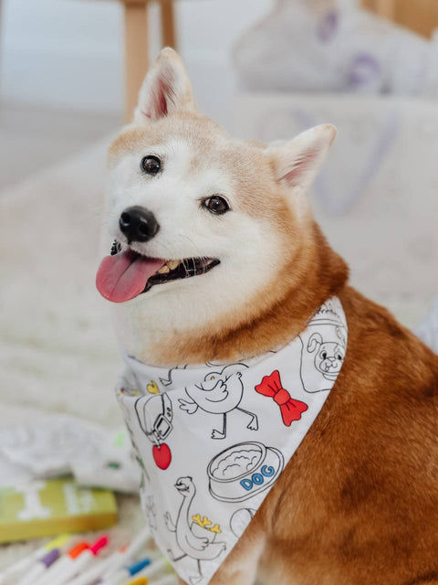 Coloring Dog Bandanas